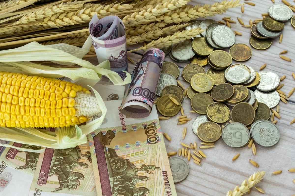 Мишустин поручил продумать меры по созданию благоприятных условий для расчетов за экспорт продукции АПК в рублях