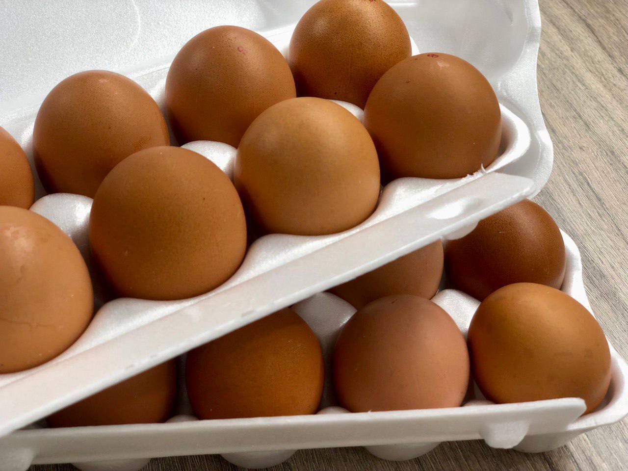 Подмосковной ферме на льготных условиях выделили землю для производства куриных яиц 