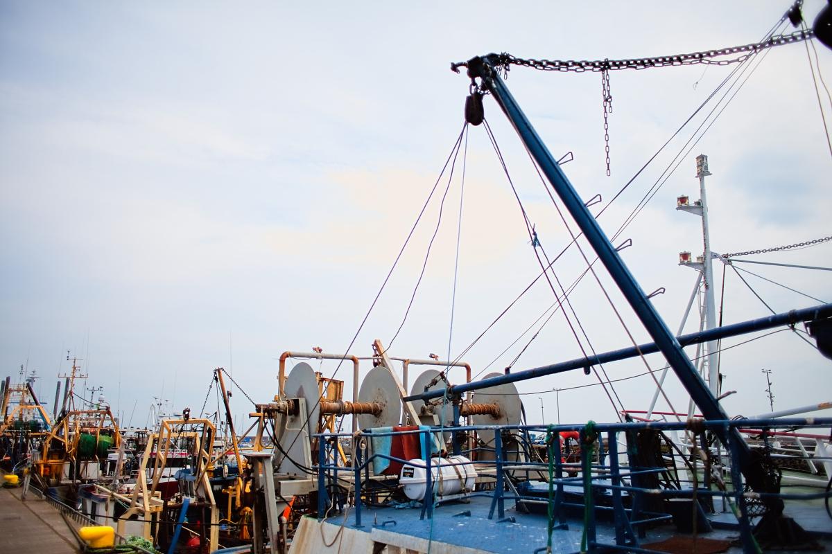 Договоры инвестирования по строительству рыболовных судов в РФ предложили продлить