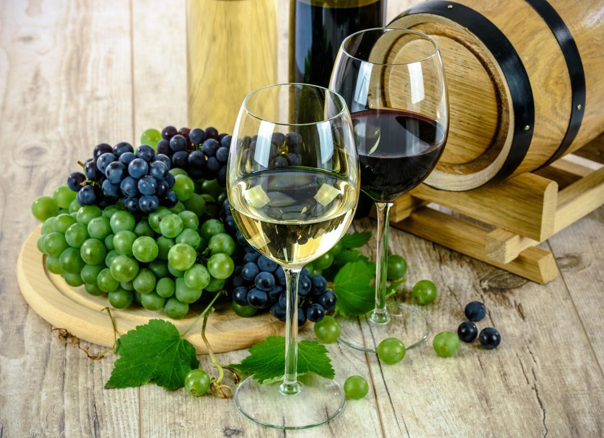 Финансирование отрасли виноделия в РФ увеличат на 40% в 2023 году 