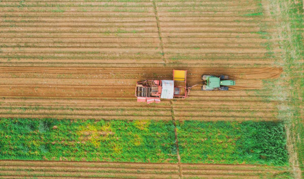 Среди зерновых в Кировской области больше всего намолочено ячменя и ржи