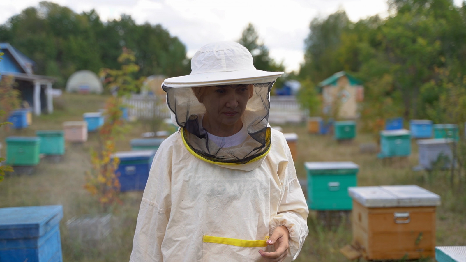 Башкирские пчеловоды в 2022 году получили 14,5 млн рублей господдержки