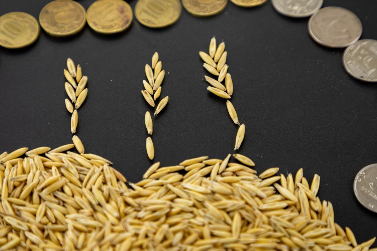 Правительство выделит дополнительно 10 млрд руб. на производство и реализацию зерновых