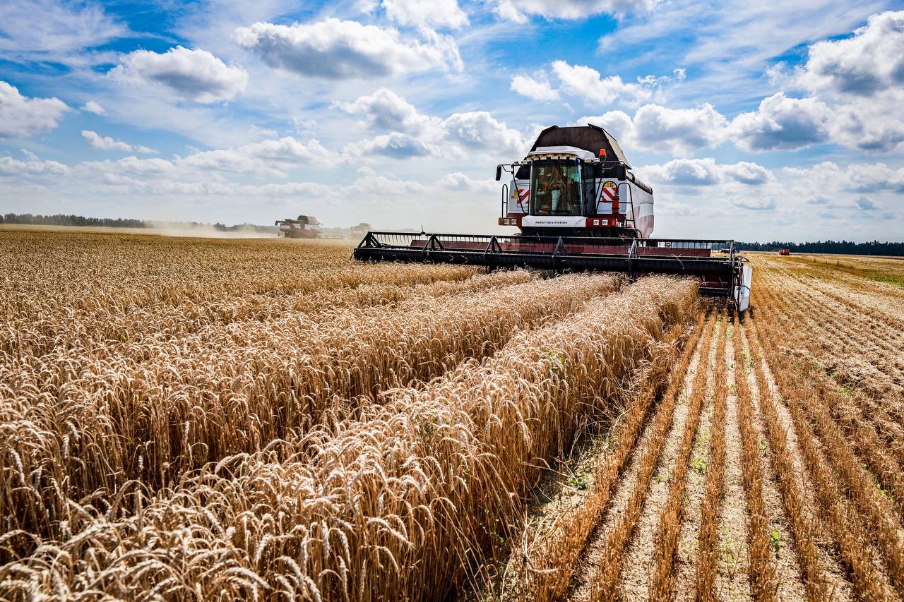 Предварительные итоги года подвели на областном Дне работника сельского хозяйства в Липецкой области