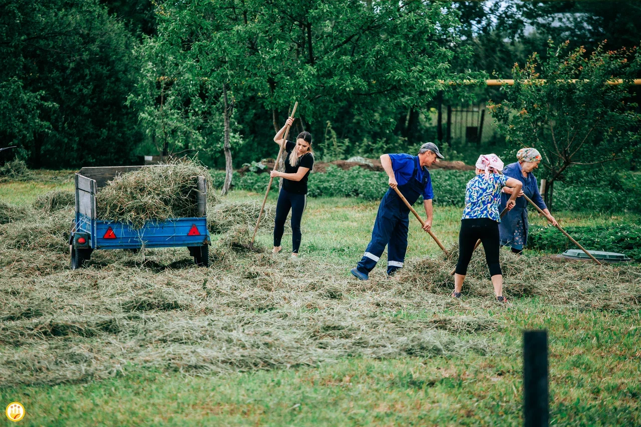 Фермерам Чувашии в 2025 году увеличат грантовую поддержку