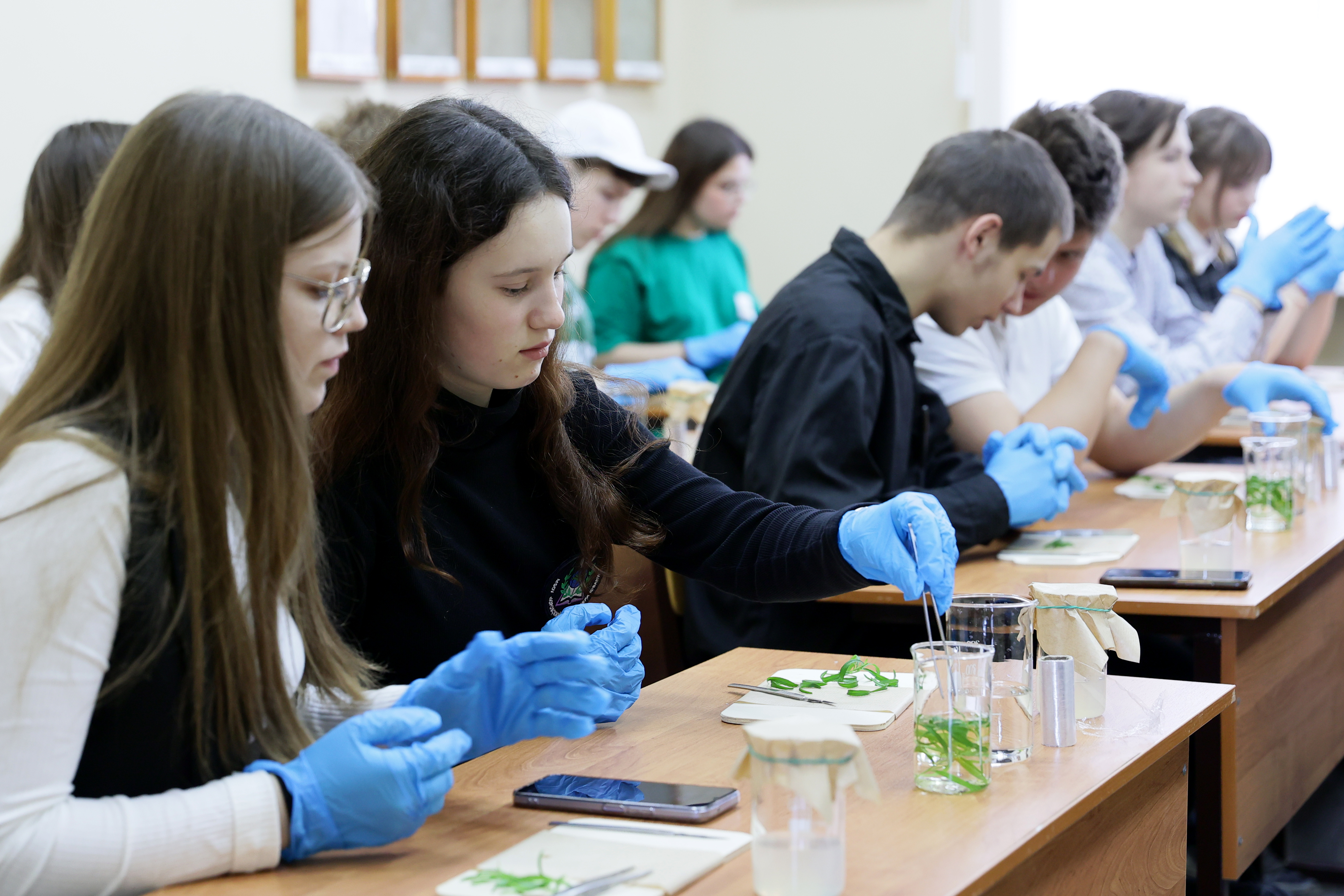 Будущих аграриев Вологодской области приглашают на целевое обучение