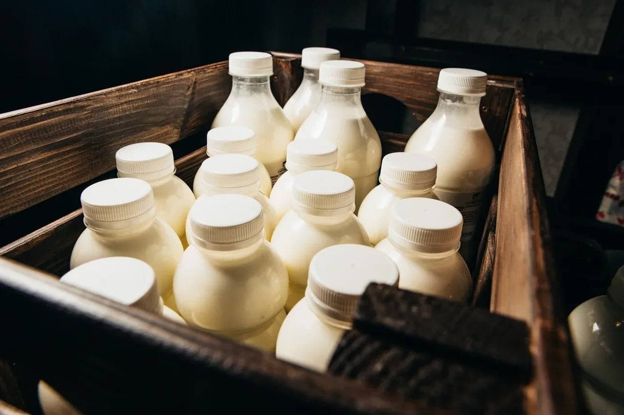 Сельхозтоваропроизводителям Кузбасса выплачены субсидии на закупку молока
