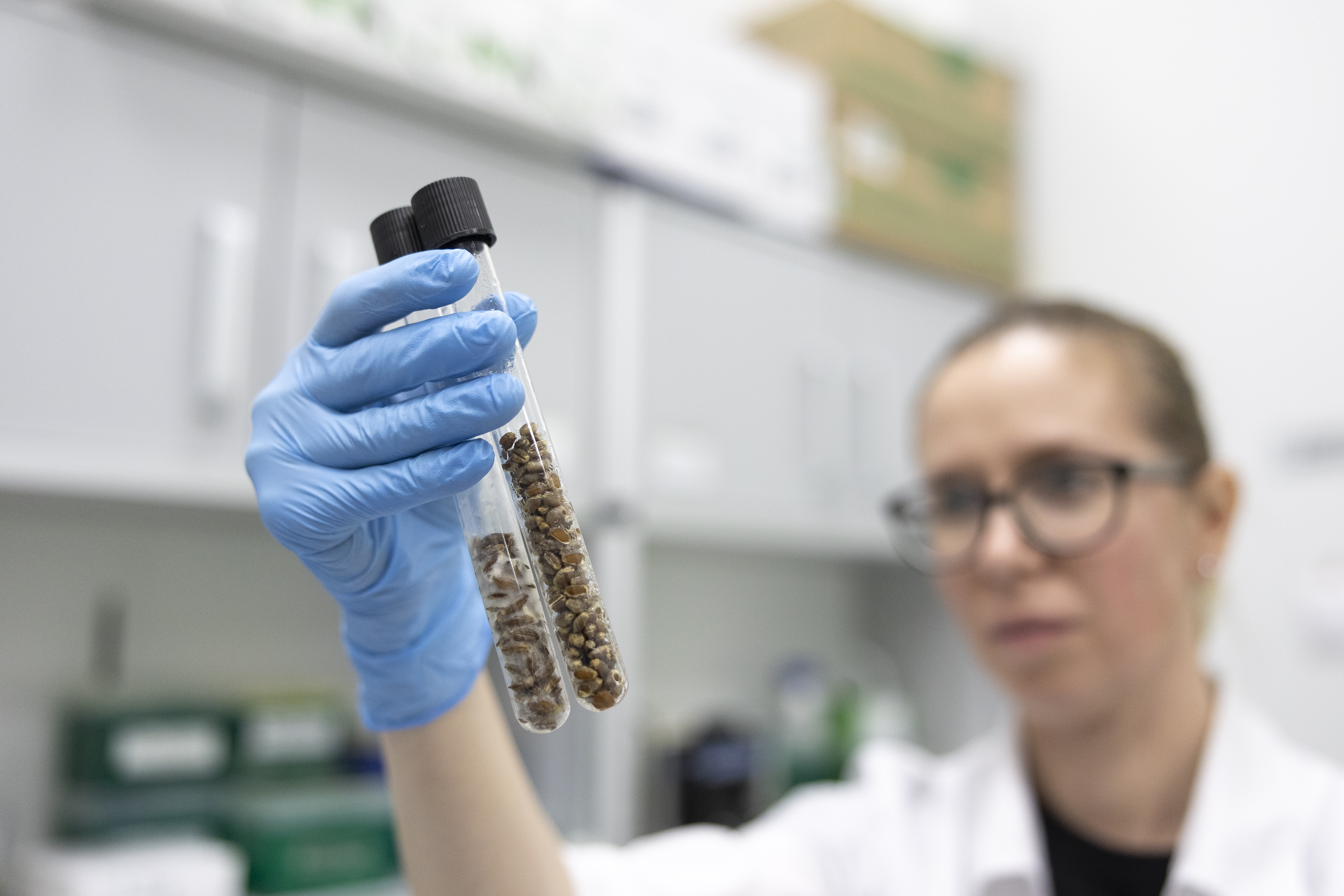 В Совфеде обсудили актуальные вопросы реализации ФНТП развития сельского хозяйства