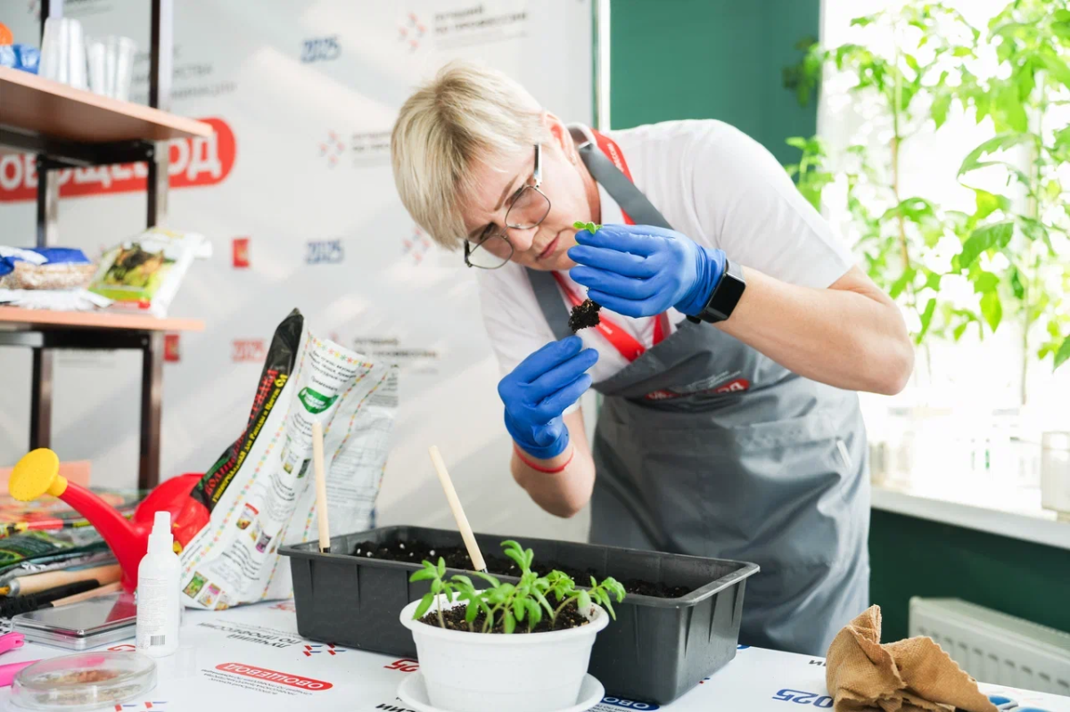 На Вологодчине выбрали лучшего овощевода России