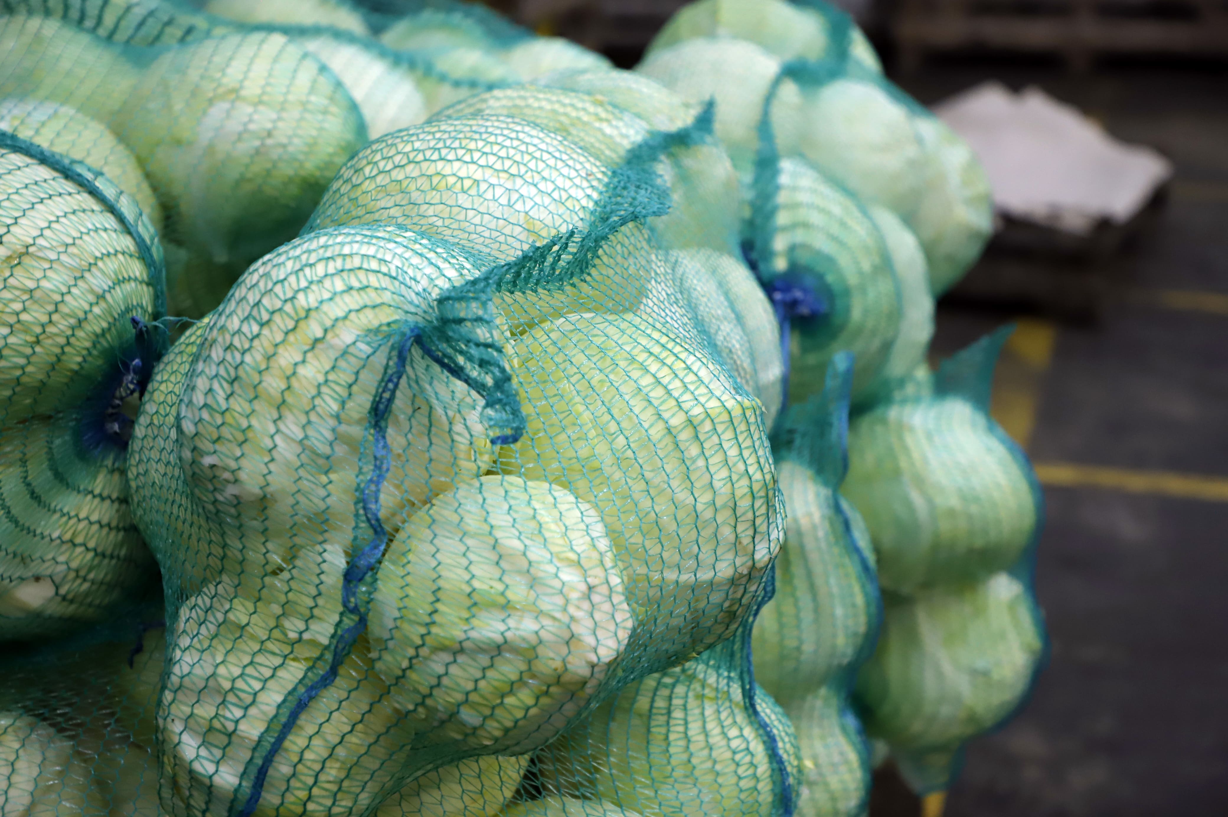 Овощеводы Томского района завершают уборку урожая в сложных погодных условиях