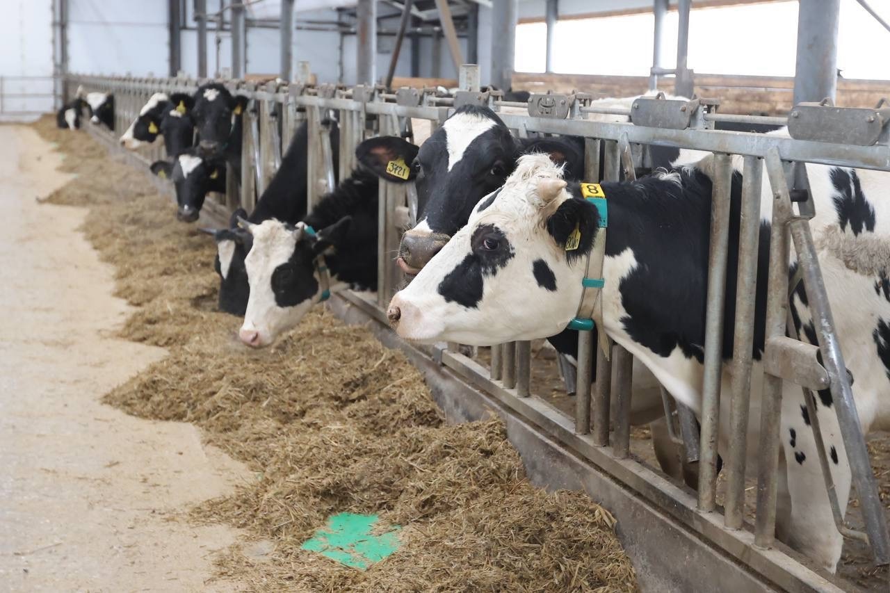 В Самарской области запущена новая система поддержки сельхозпредприятий с помощью научных проектов