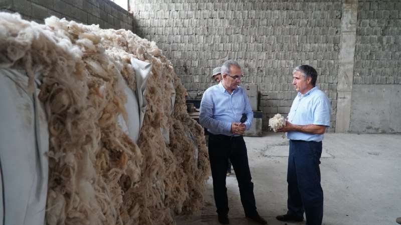В Дагестане выработают меры по развитию переработки шерсти