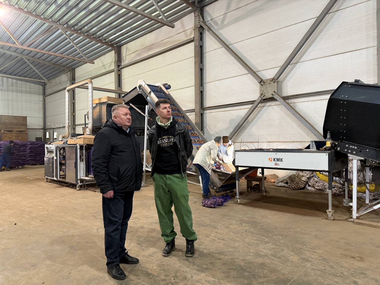 Урожай картофеля в Ивановской области в 2025 году превысил 19 тыс. тонн