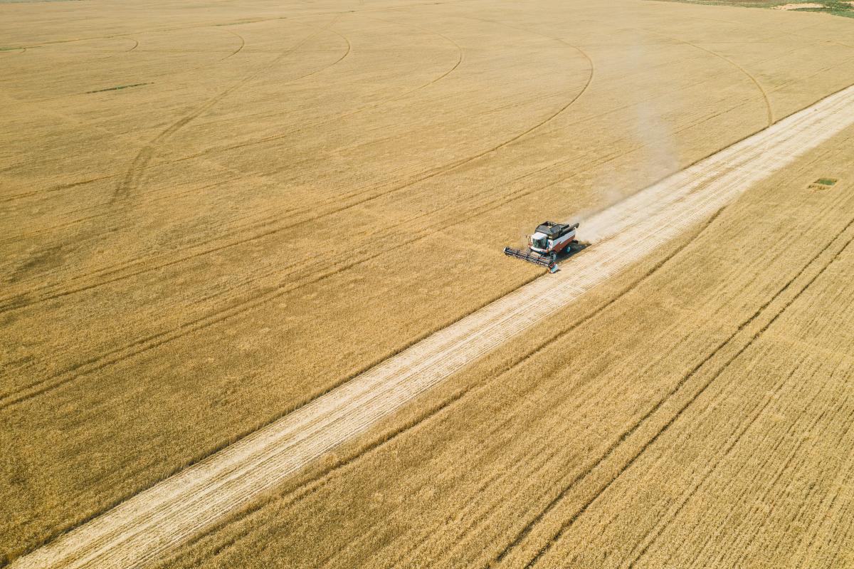 Темпы уборки урожая в РФ почти вдвое опережают прошлогодние — Патрушев