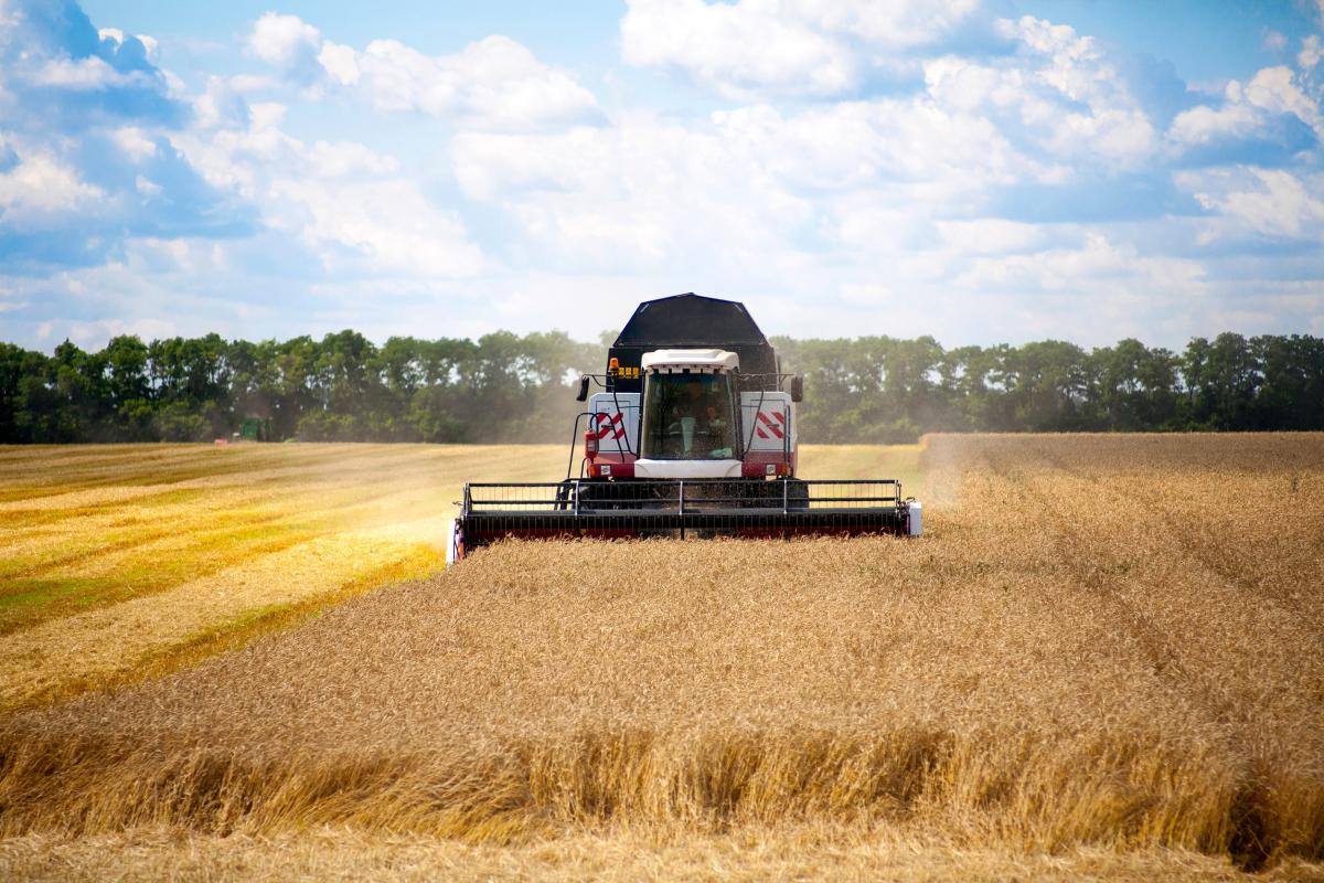 Необходимости в дополнительной господдержке производства и продаж сельхозтехники нет — Правительство РФ