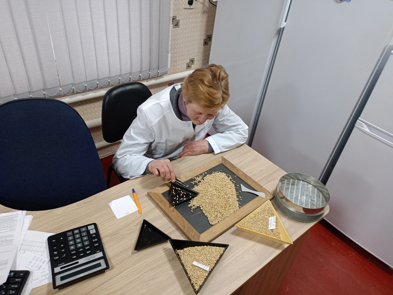 В ДНР проверяют яровые на посевные качества