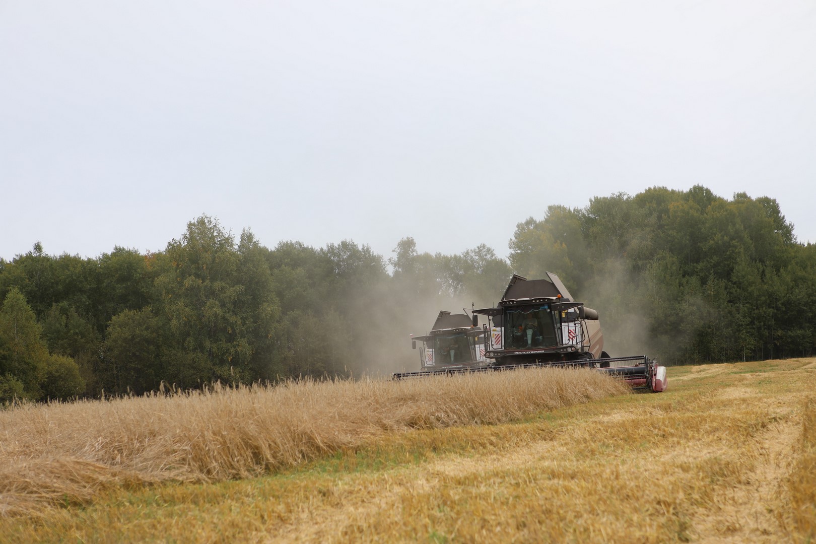 В Кузбассе продолжается уборочная кампания