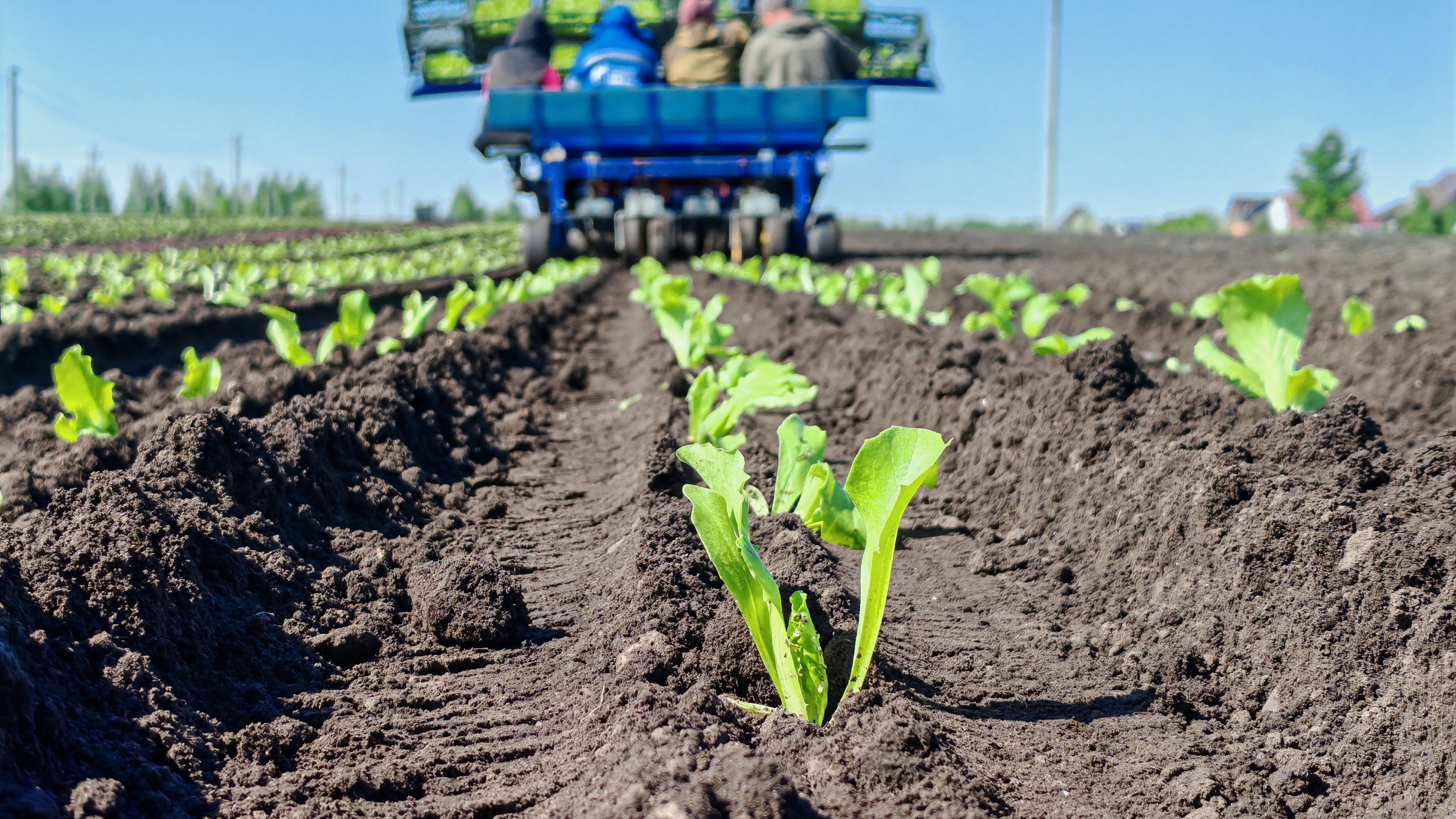 Посевная кампания в Тюменской области достигла экватора