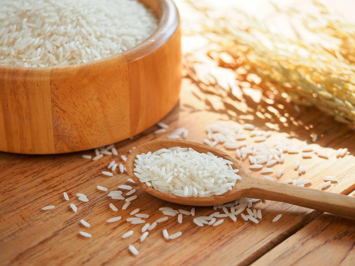 В СКФО планируют увеличить сбор риса почти в два раза к 2030 году