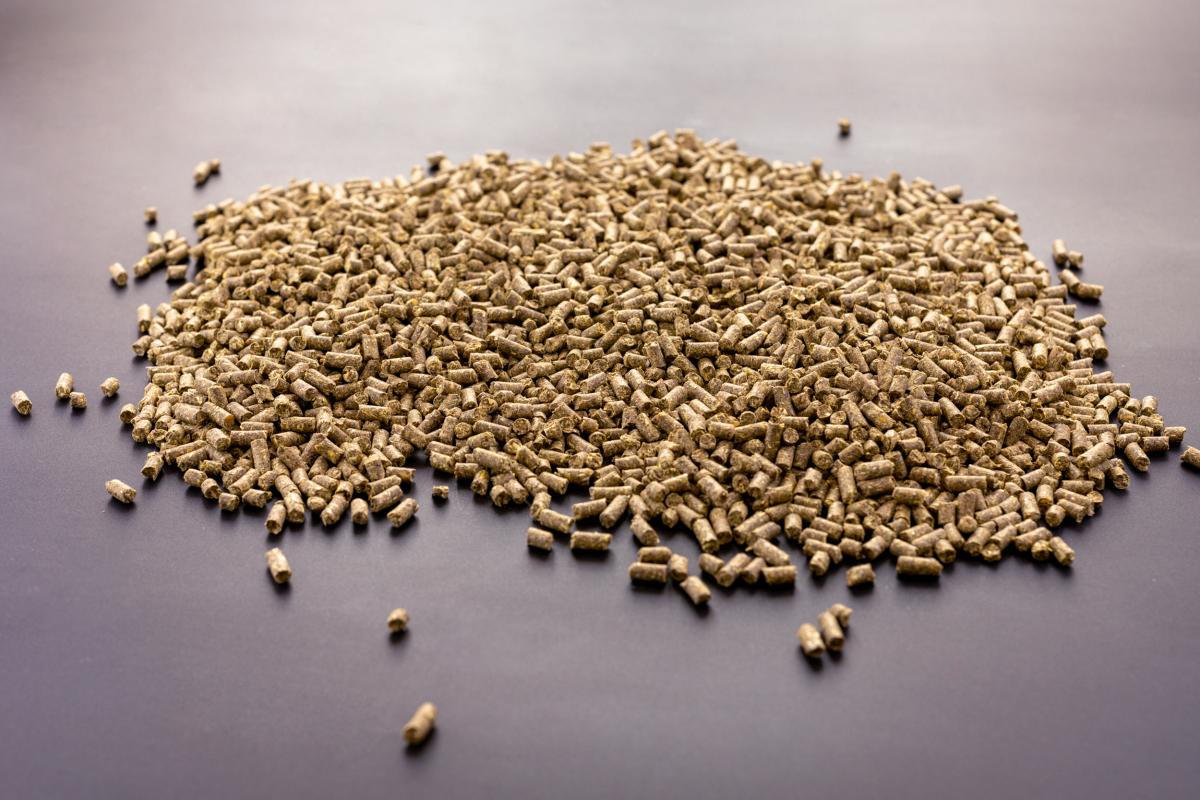 Импорт шротов в Россию за три года сократился на 94%