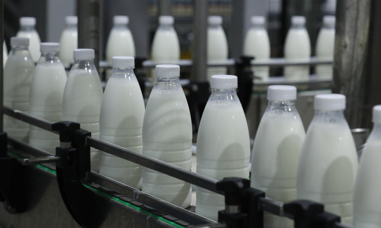 Объём реализации молока в сельхозорганизациях вырос на 3,9%
