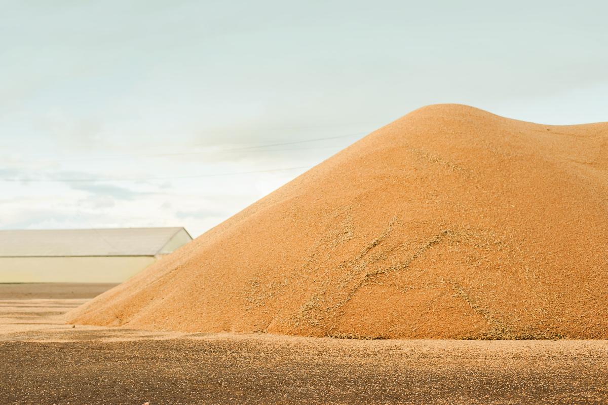 Сибирские экспортеры наладили поставки зерна в страны Латинской Америки и Африки