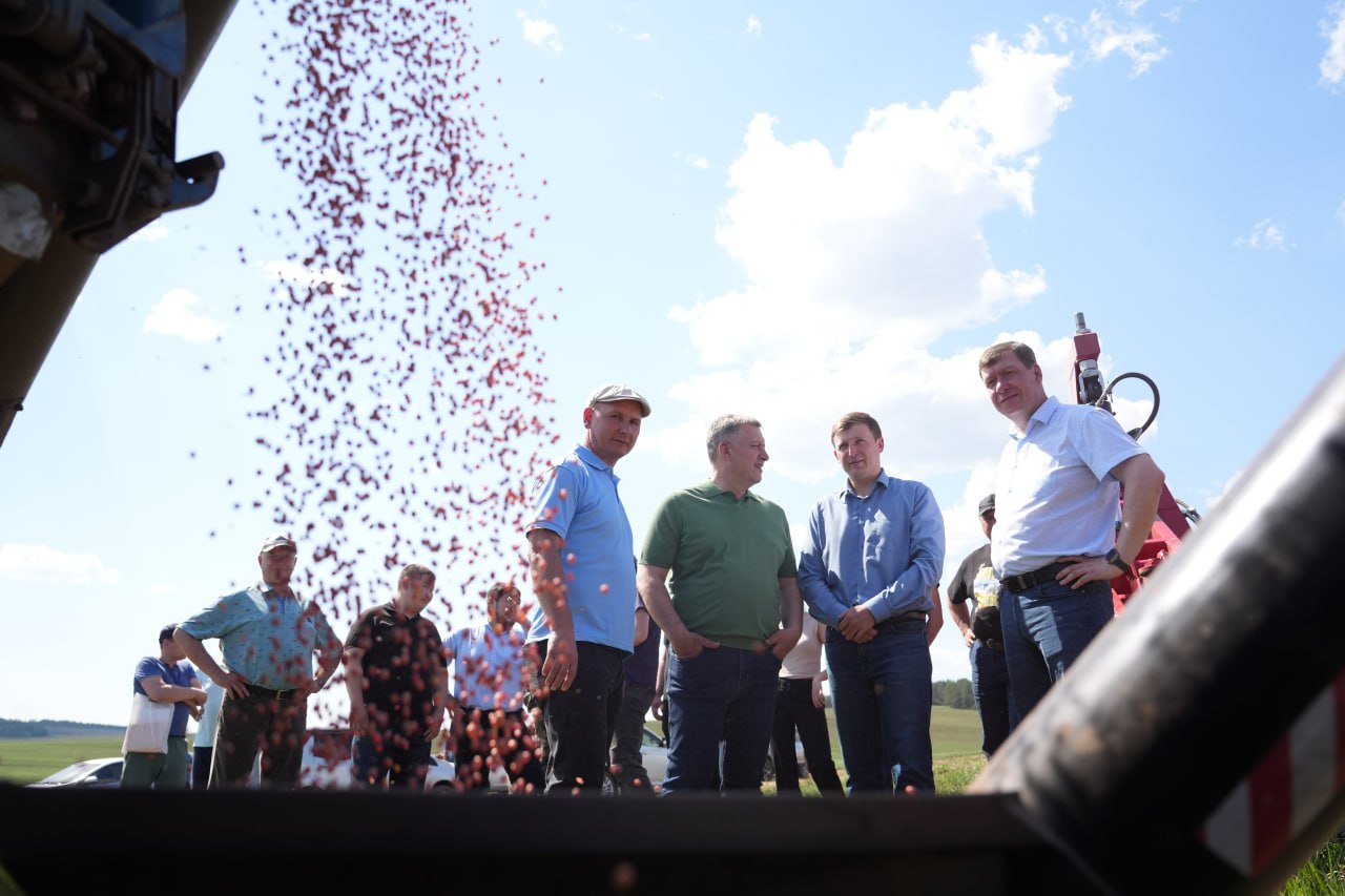 В Иркутской области засеяно 60% запланированной на 2025 год посевной площади