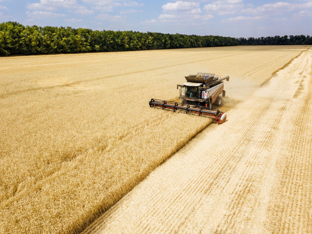 Минсельхоз России подвел итоги десятилетия развития АПК в условиях контрсанкций