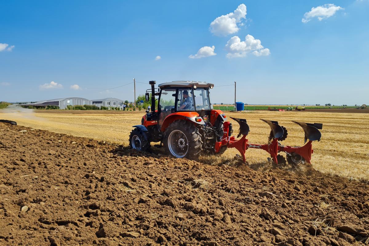 В Псковской области зерновыми засеяно 66% площади от плана