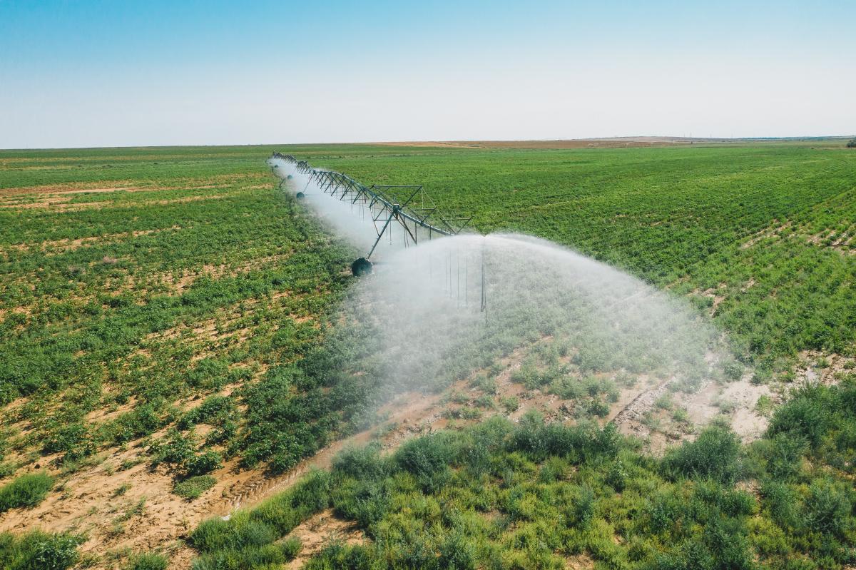 Финансирование проектов по мелиорации в РФ увеличится до 13,6 млрд руб. ежегодно