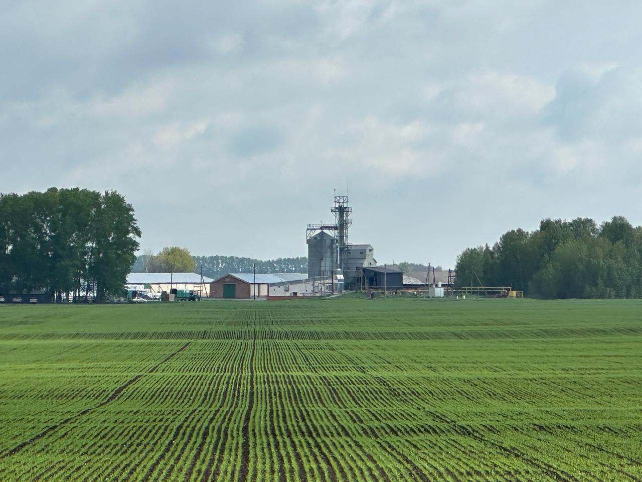 В Колыванском районе Новосибирской области завершена посевная кампания