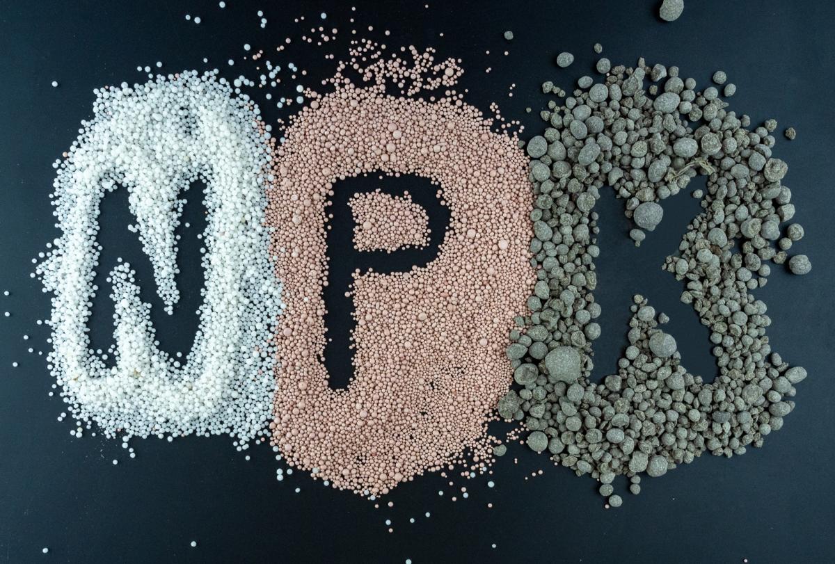 РАПУ: производство удобрений в России в 2025 году вырастет до рекордных 65 млн т 