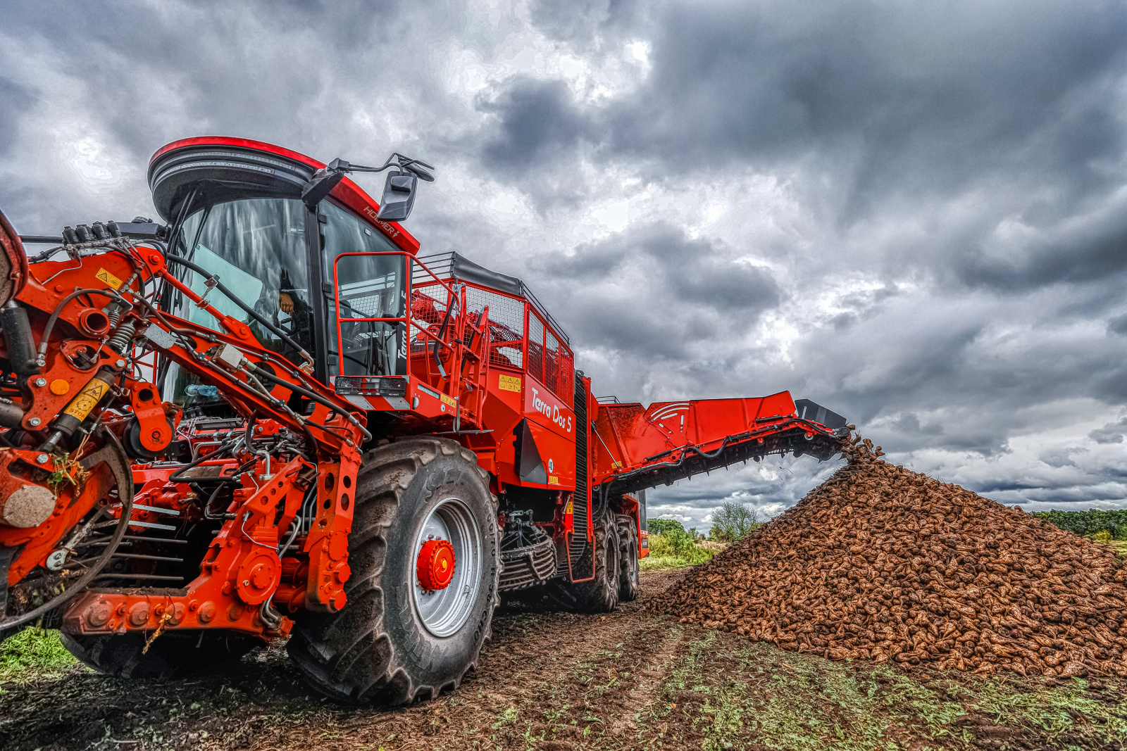 В Липецкой области собрали 2 миллиона тонн сахарной свёклы
