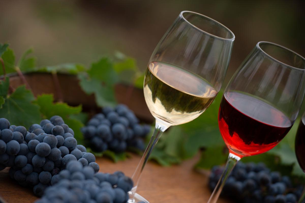 Эксперты «Роскачества» отмечают улучшение качества отечественных вин