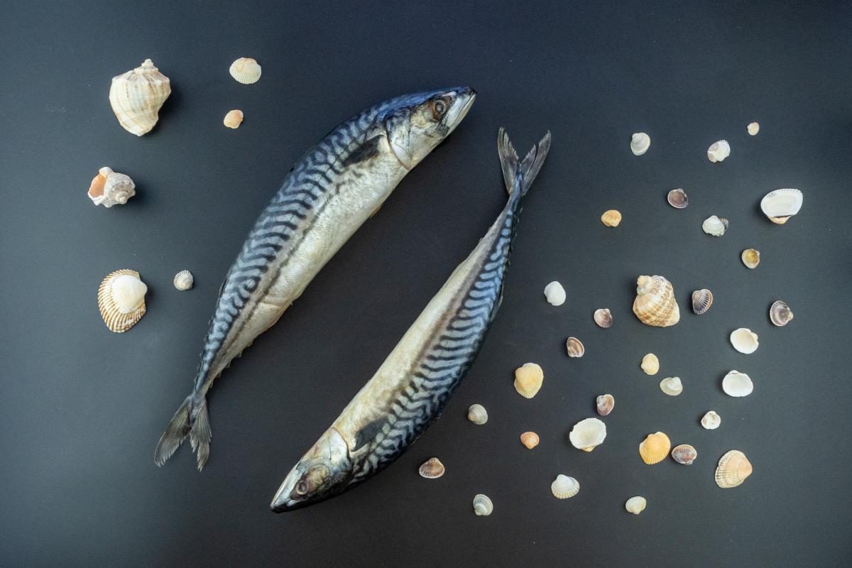 Путин поручил принять меры по увеличению ж/д перевозок рыбы из ДФО 