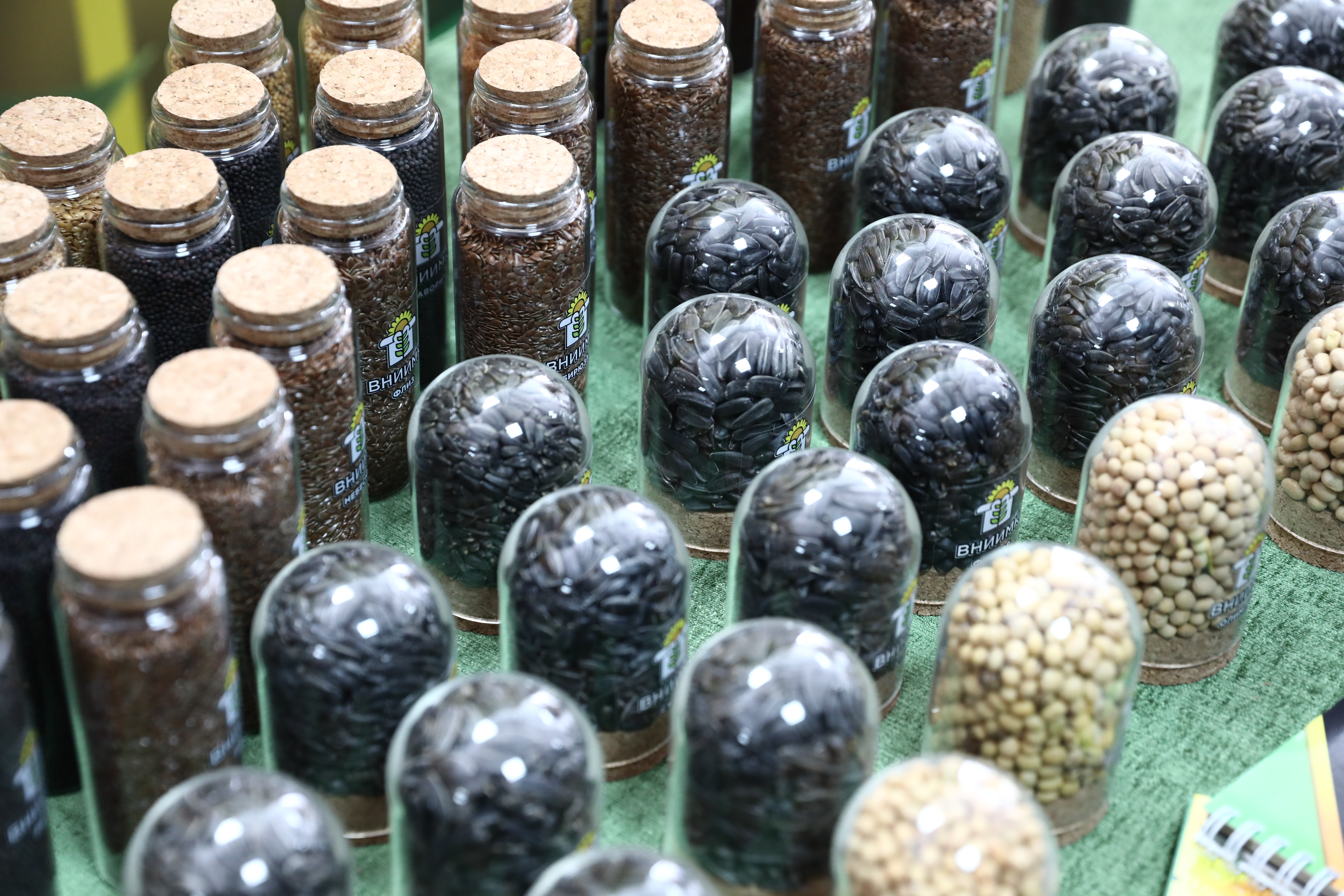 Три четверти заявок на государственные сортоиспытания в 2025 году приходятся на отечественные селекционные достижения