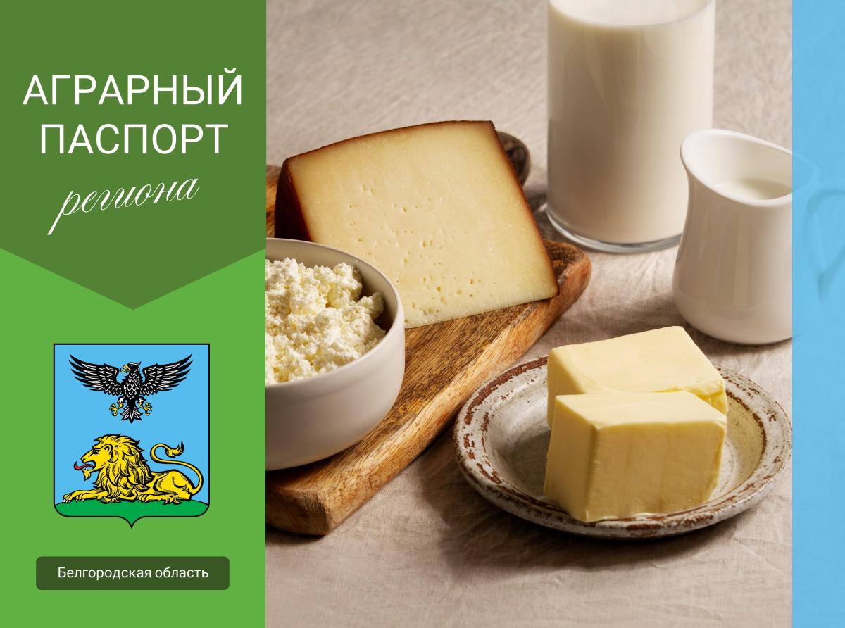 В Белгородской области растет производство молочной продукции