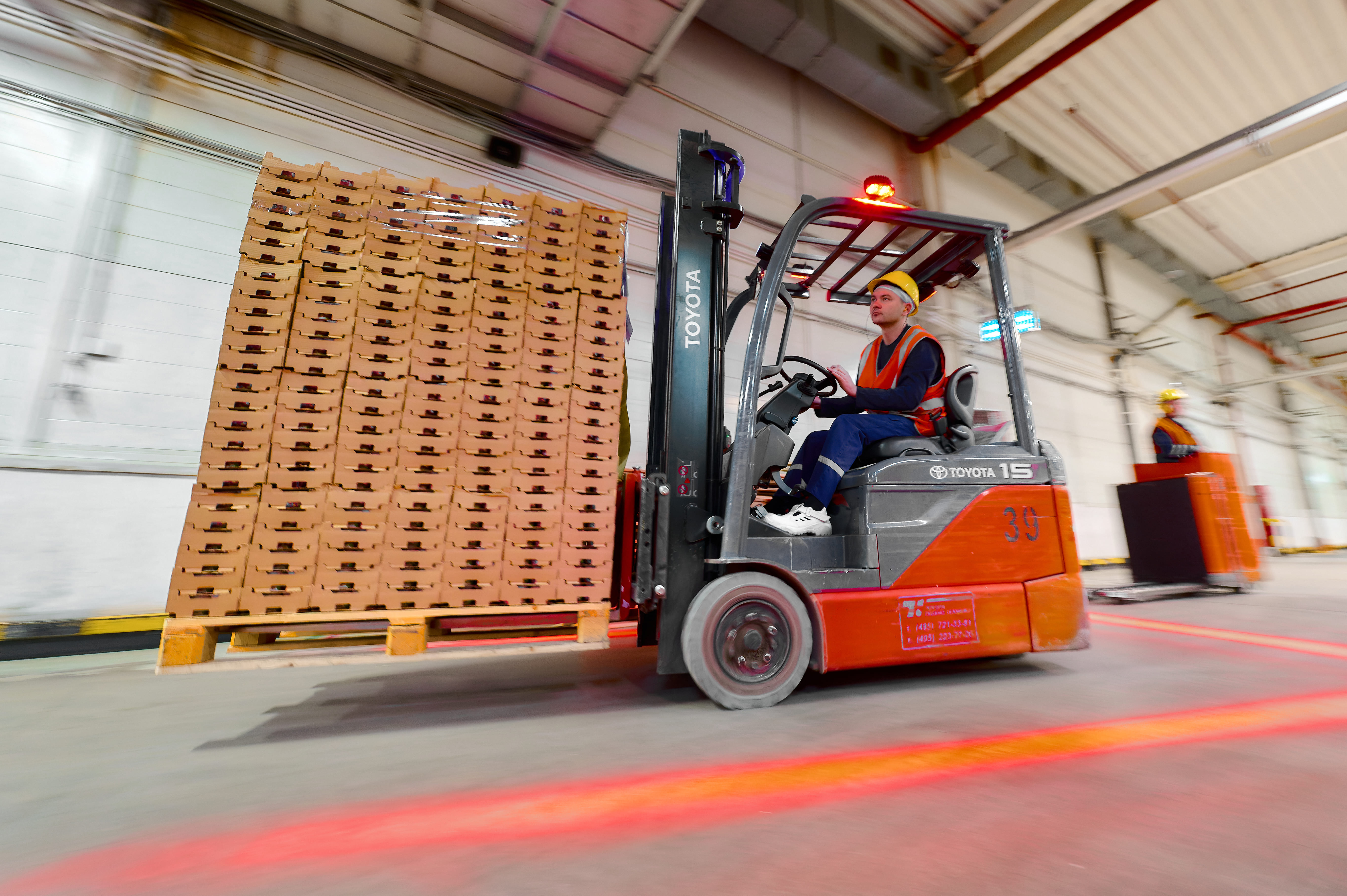 Московская область увеличила экспорт свинины более чем на 50 % в первом полугодии