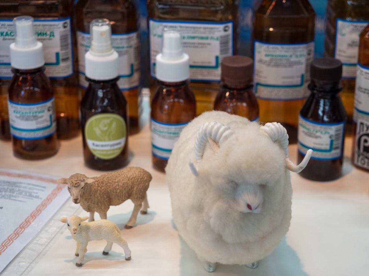 Производство российских вакцин для животных за пять лет выросло почти в три раза 