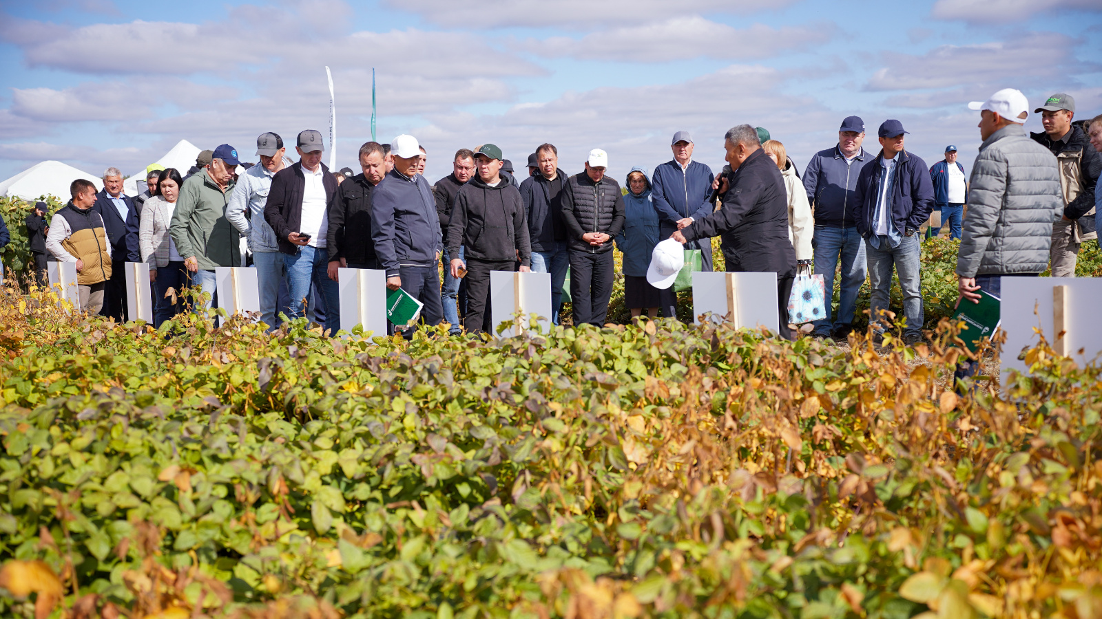 Ученые и аграрии Татарстана обсудили вопросы выращивания и развития сои 