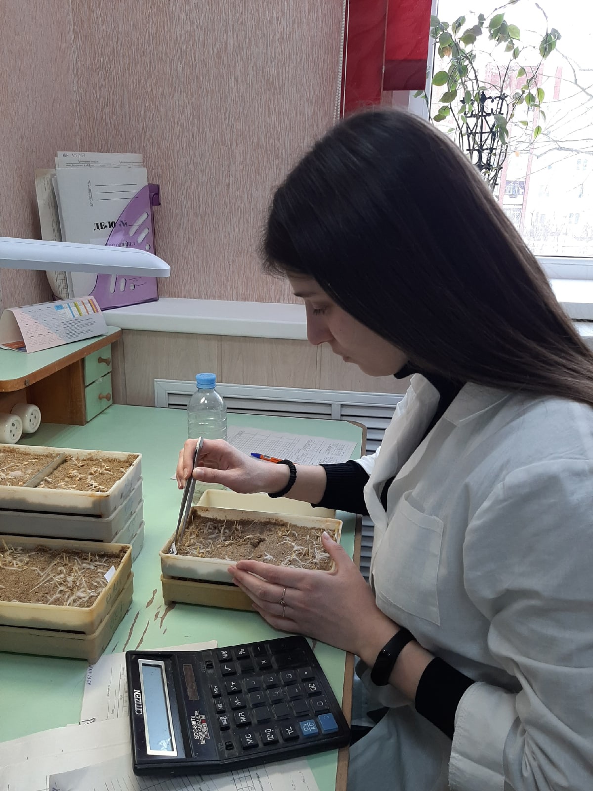 В Вологодской области приступили к проверке посевных качеств семян яровых зерновых и зернобобовых культур