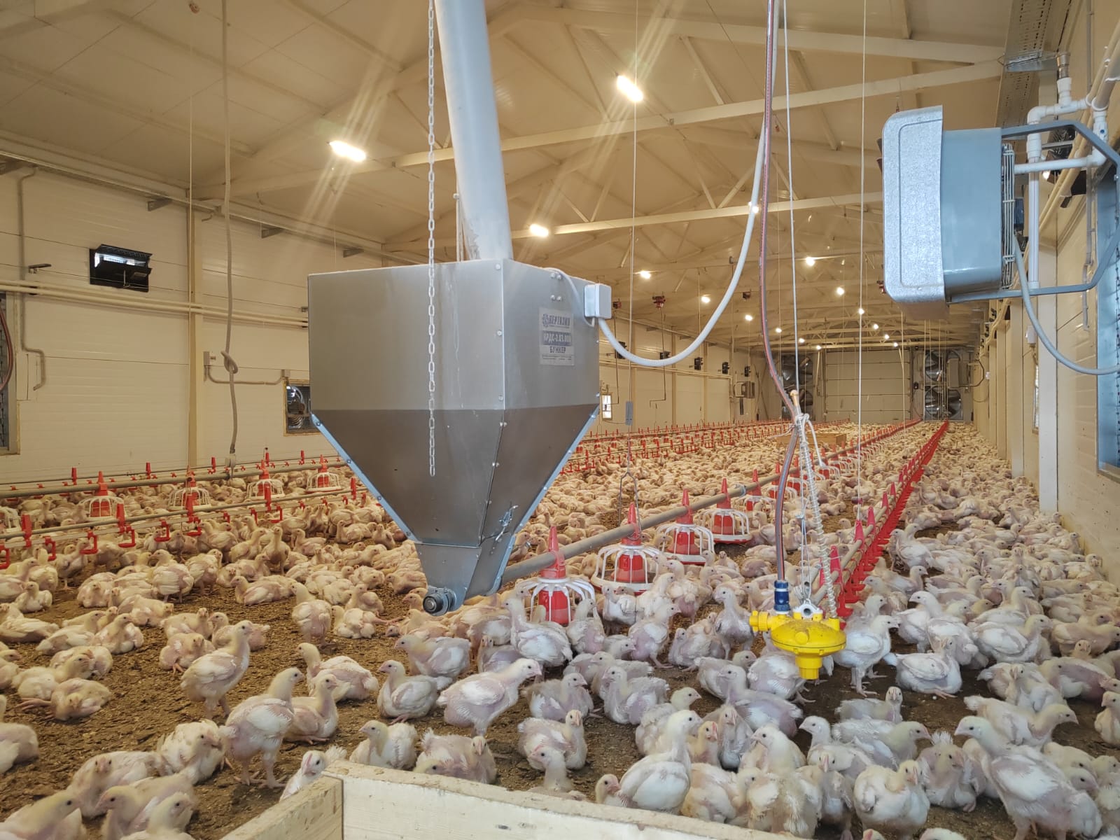 Руководители Департамента проверили работу животноводческих предприятий Томского района