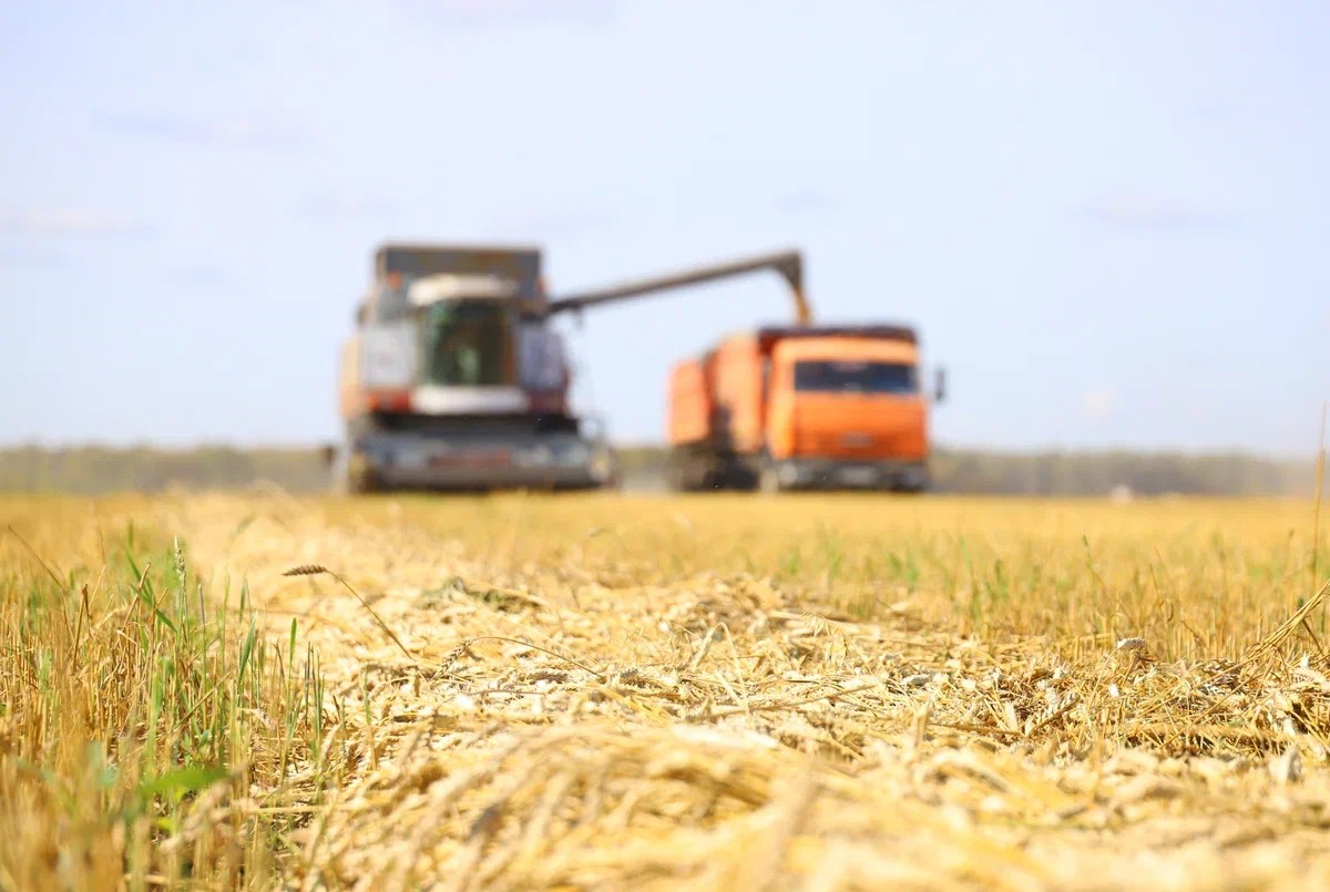 В Тюменской области завершили уборочную кампанию