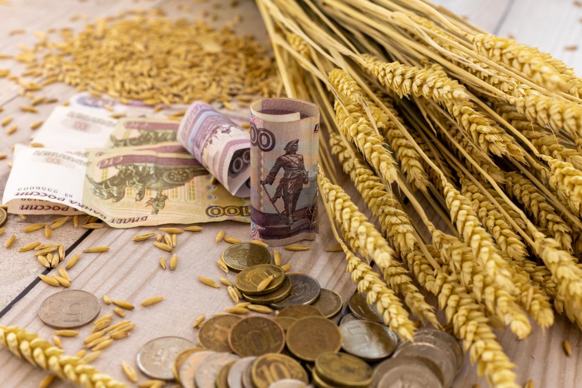 Цены на пшеницу из России начали активно расти