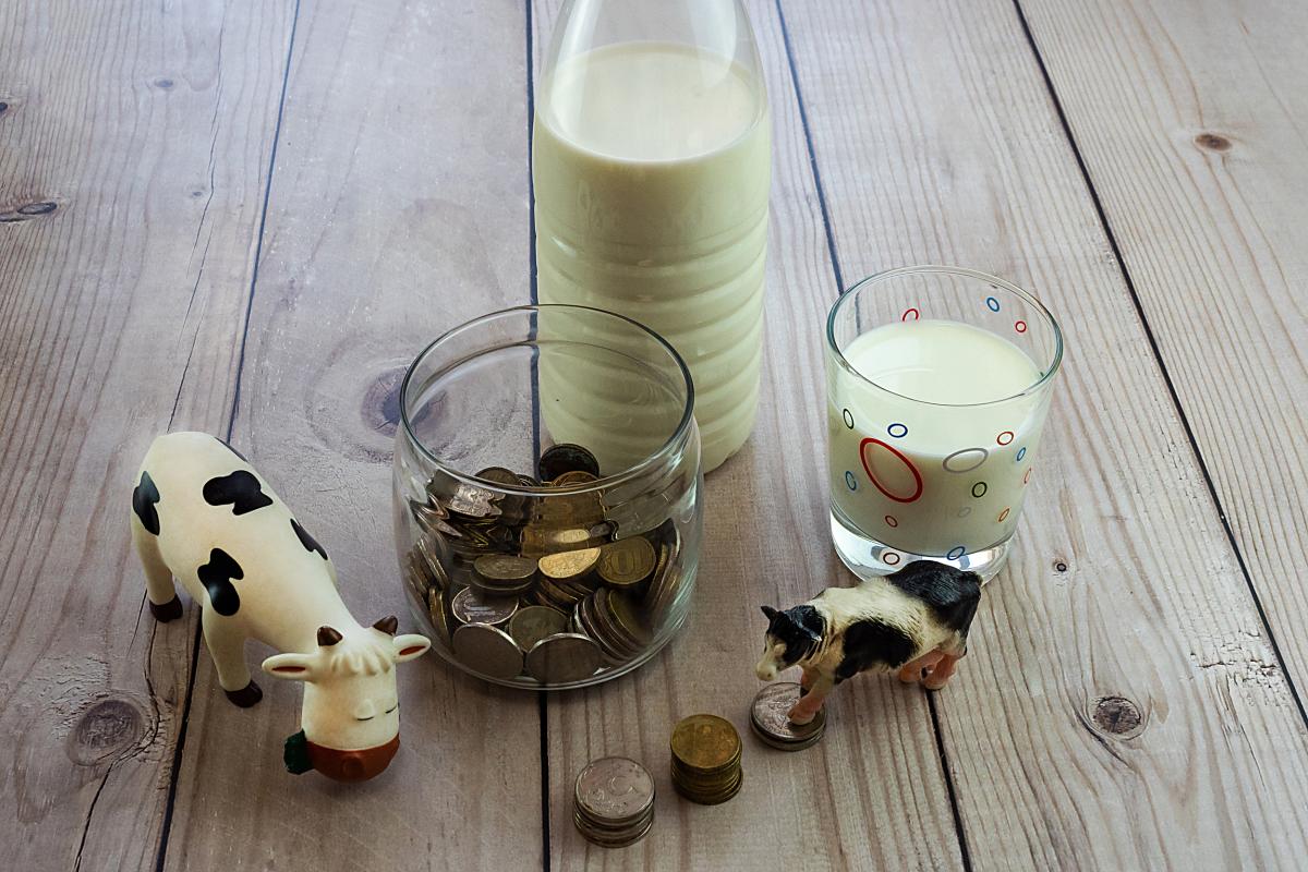 За 10 месяцев производство молока в Ростовской области превысило 950 тыс. т