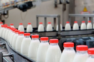 Объём реализации молока в сельхозорганизациях вырос на 3%