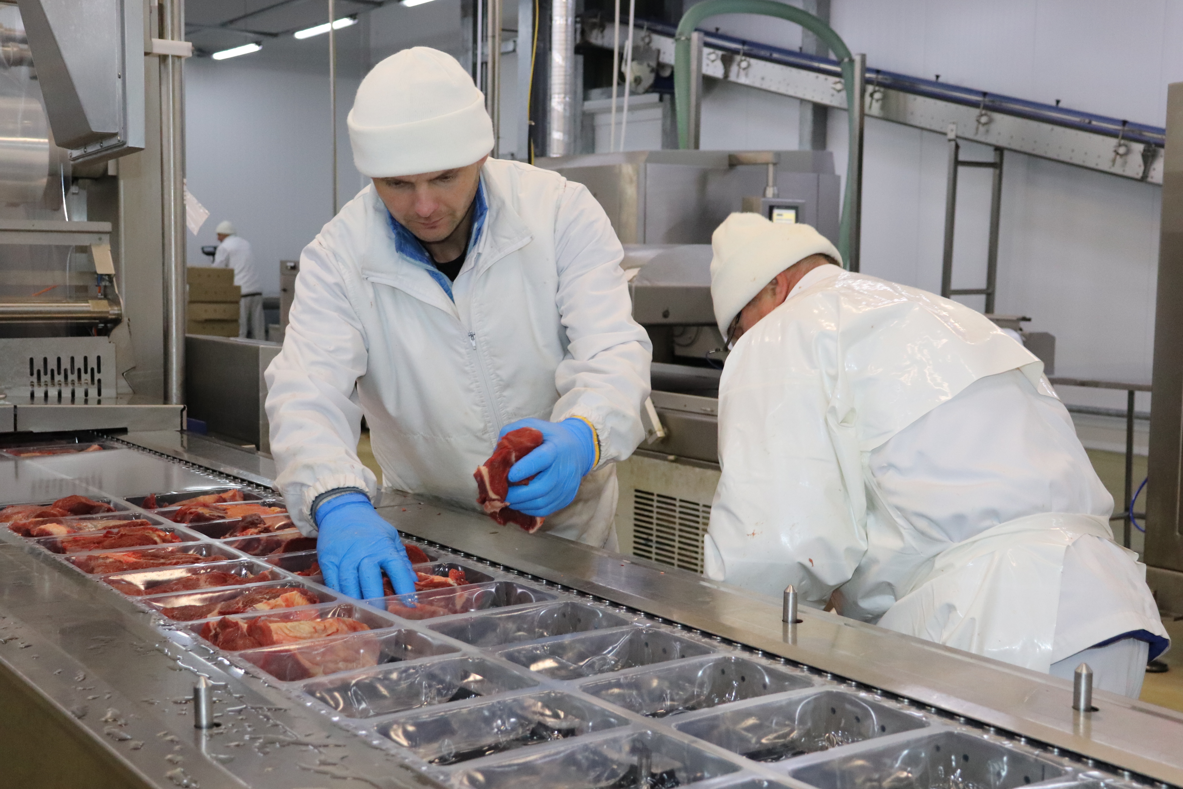 Предприятия региона в 2022 году увеличили производство мяса и мясной продукции