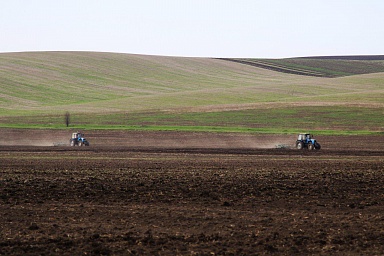 Еще два хозяйства Томской области получат гранты на развитие семейных ферм