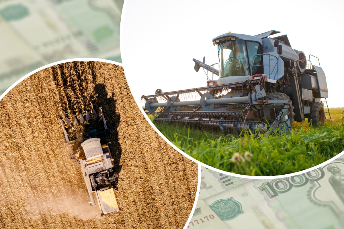 Топ-10 изменений в законодательстве для АПК России в 2025 году — поле.рф