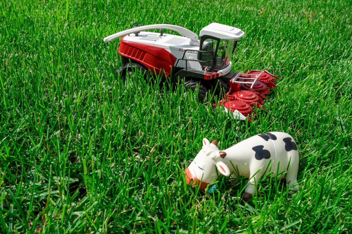 ФНТП развития сельского хозяйства могут дополнить подпрограммами по технике и ветпрепаратам 